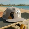 Accessories * | T&C Surf Myna Bird Trucker Cap Excellent Quality